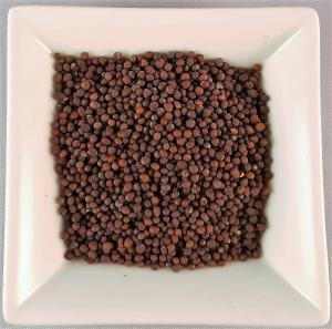Senfkörner braun ganz 1kg