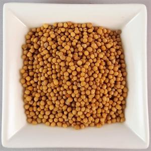 Senfkörner gelb ganz 1kg