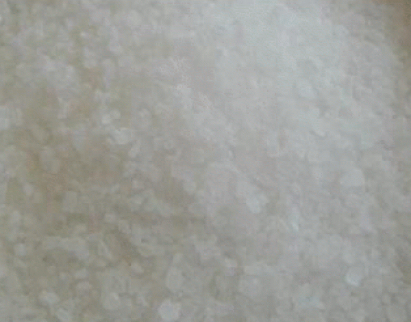 Meersalz grob 1kg