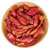 Chillies kleine Schoten 1kg